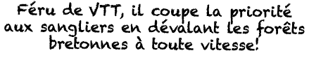 Féru de VTT, il coupe la priorité aux sangliers en dévalant les forêts bretonnes à toute vitesse  