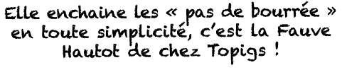 Elle enchaine les   pas de bourrée   en toute simplicité, c est la Fauve Hautot de chez Topigs   