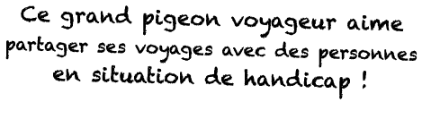 Ce grand pigeon voyageur aime partager ses voyages avec des personnes en situation de handicap   