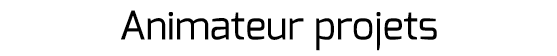 Animateur projets 