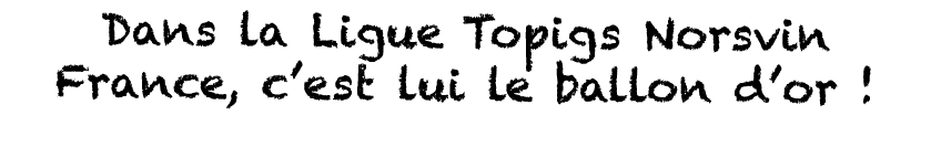 Dans la Ligue Topigs Norsvin France, c est lui le ballon d or   