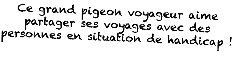 Ce grand pigeon voyageur aime partager ses voyages avec des personnes en situation de handicap   