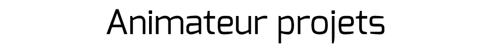 Animateur projets 